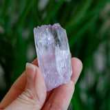 Kunzite Crystal, Self-Healed, Dichroic