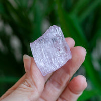 Kunzite Crystal, Self-Healed, Dichroic