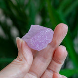 Kunzite Crystal, Self-Healed, Dichroic
