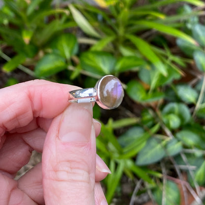 Labradorite Ring, Size 7