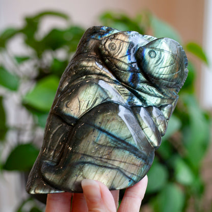 Labradorite Sealife Carving