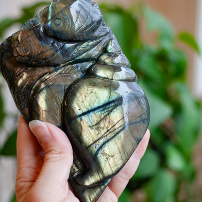 Labradorite Sealife Carving