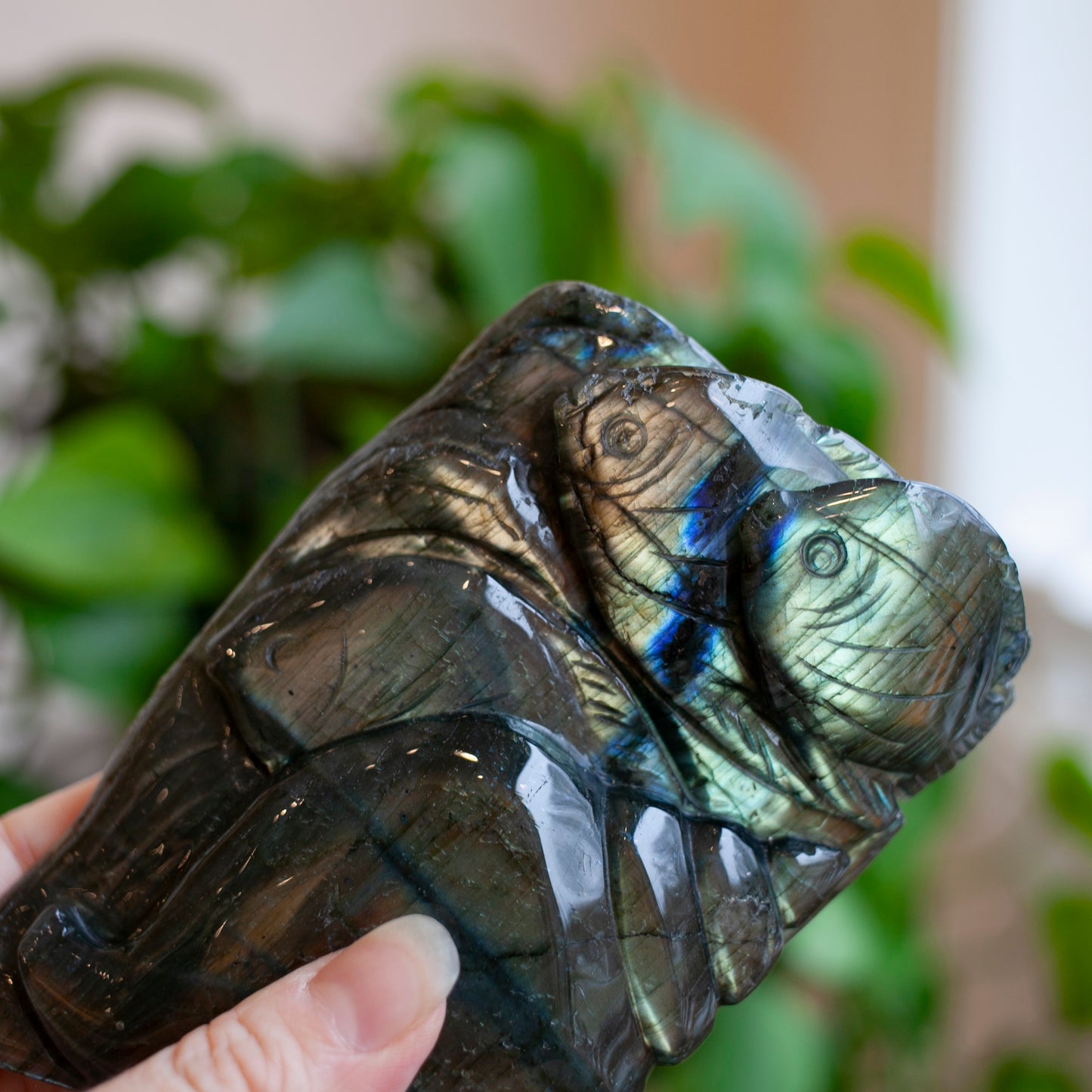 Labradorite Sealife Carving