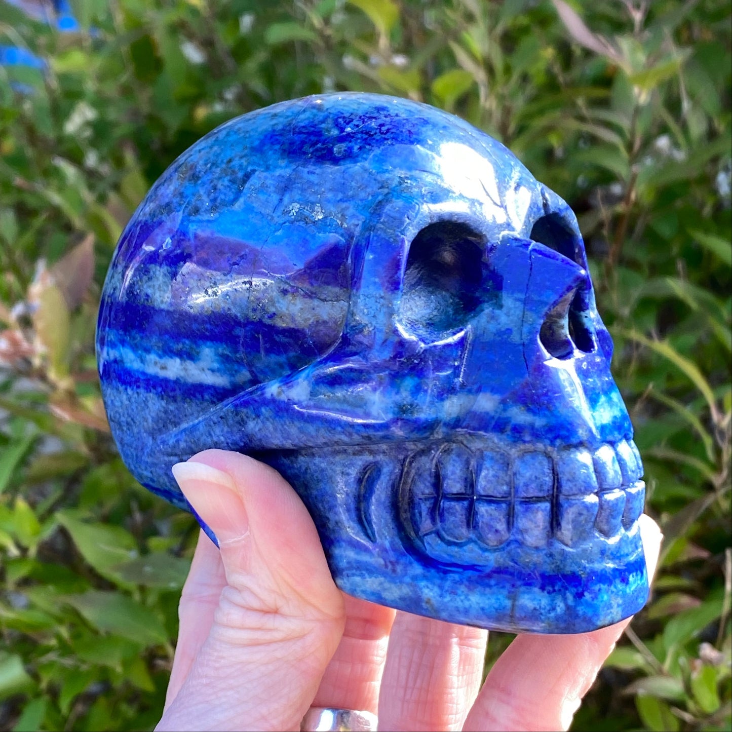 Lapis Lazuli Skull