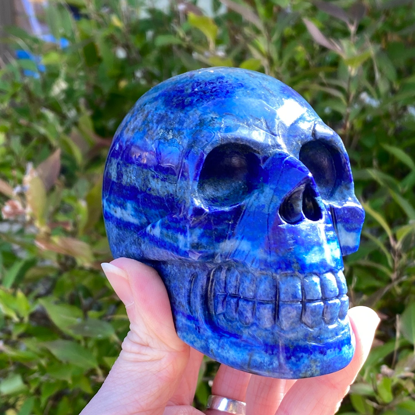 Lapis Lazuli Skull