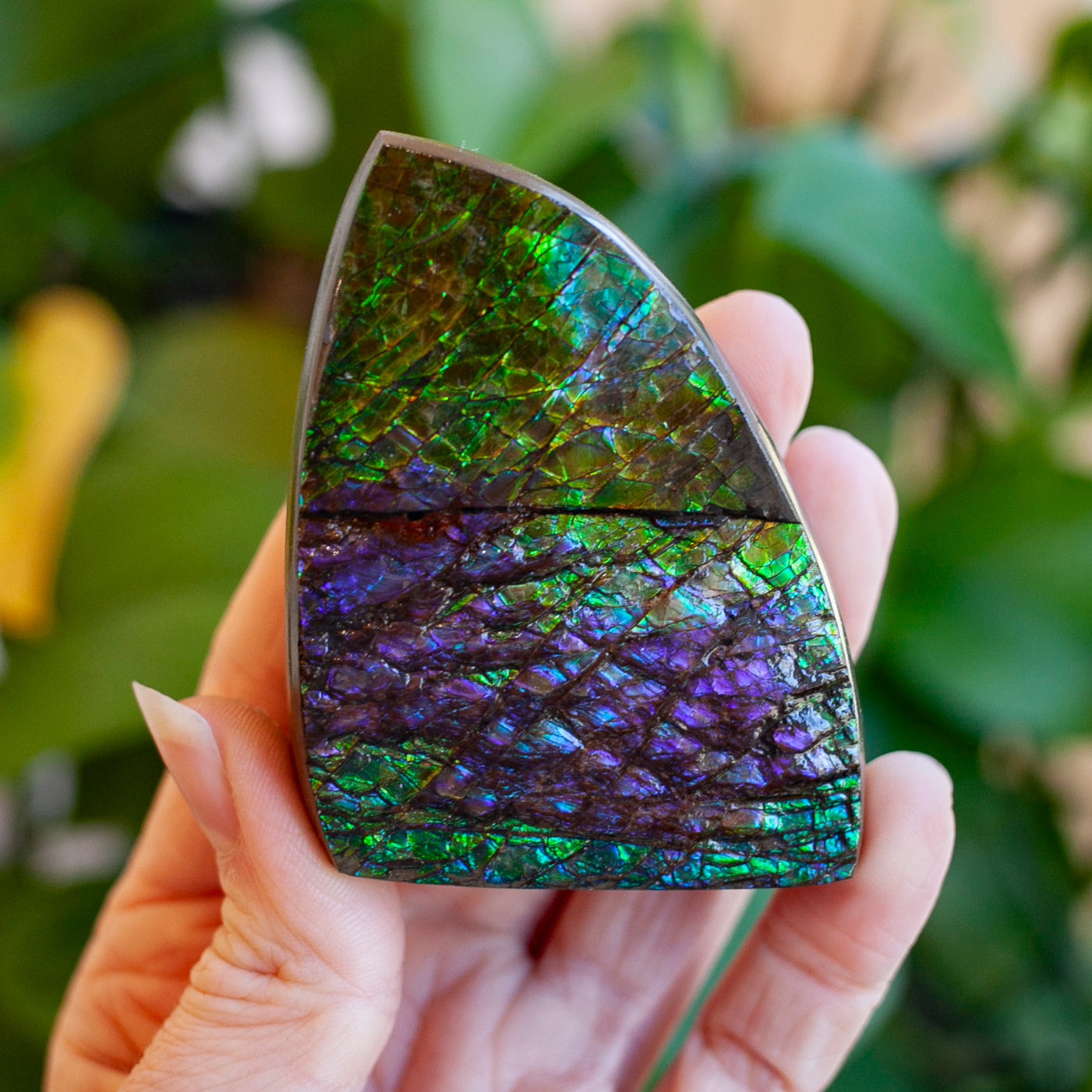 Cape Cod Crystals Shop All New Crystals Page 2