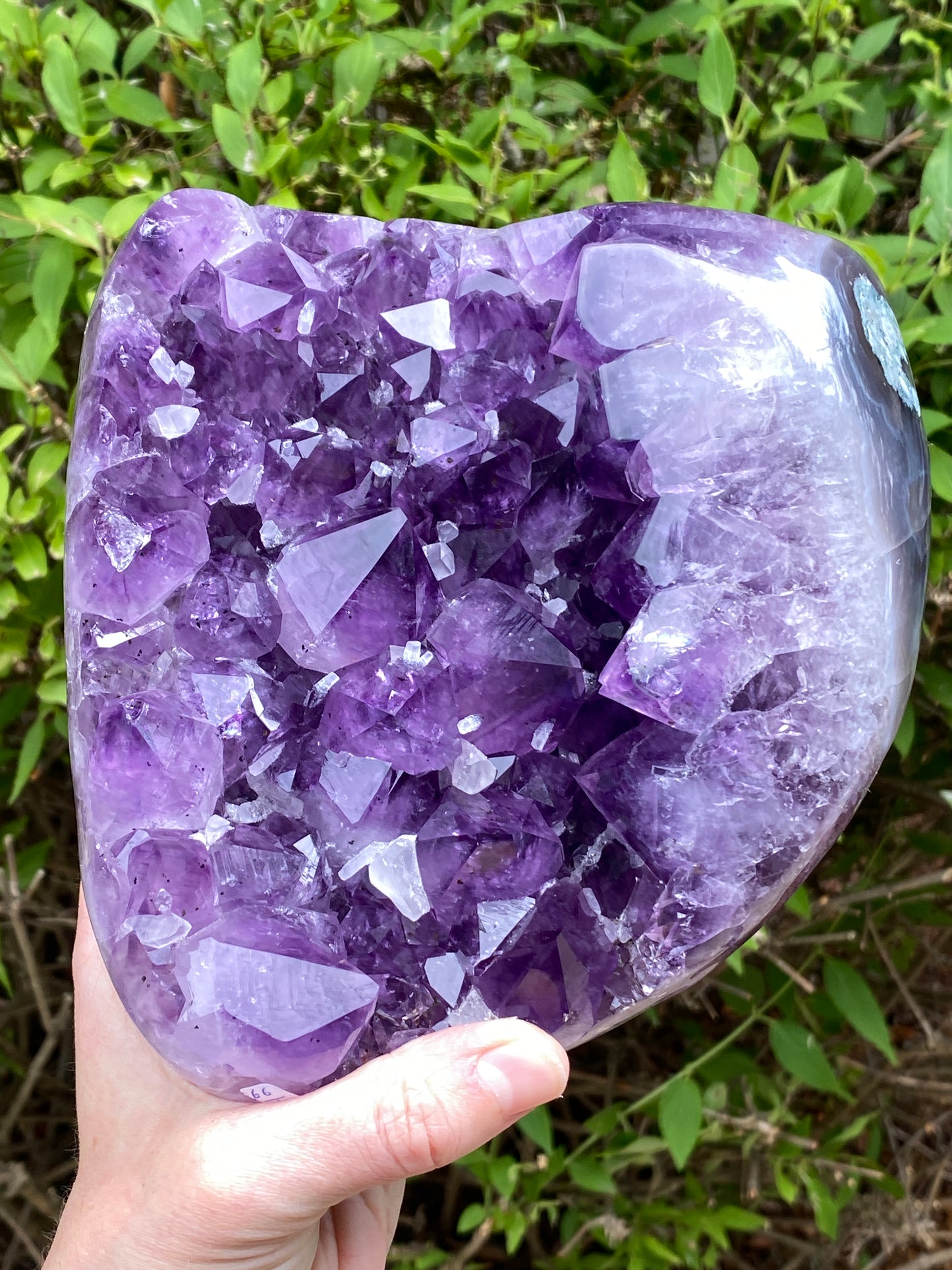 Amethyst Showpiece, 8lbs, old stock Brazil