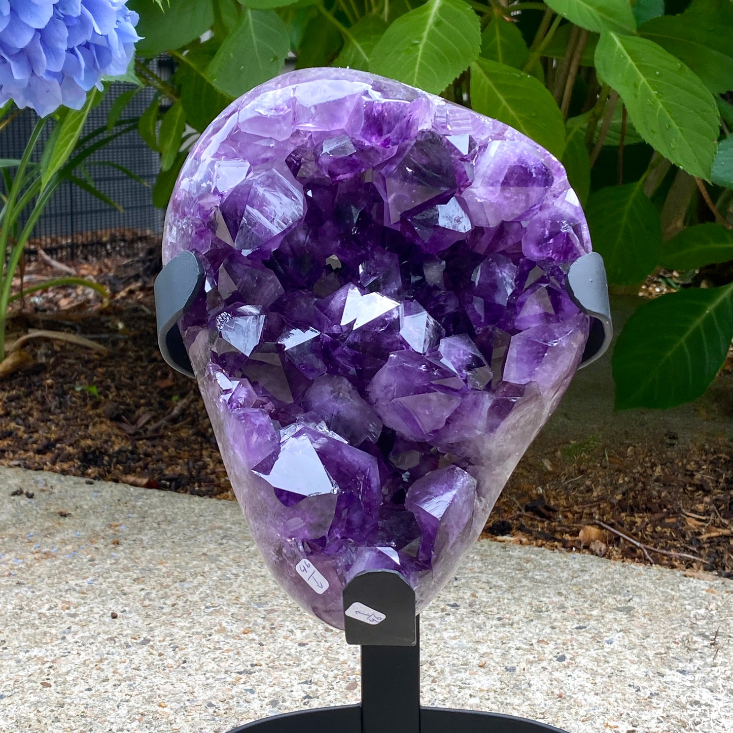 Amethyst Showpiece, 10lbs, old stock Brazil