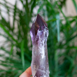 XL Bahia Amethyst Root Wand
