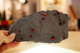 Garnet in Graphite from Red Embers Mine, Erving, Massachusetts