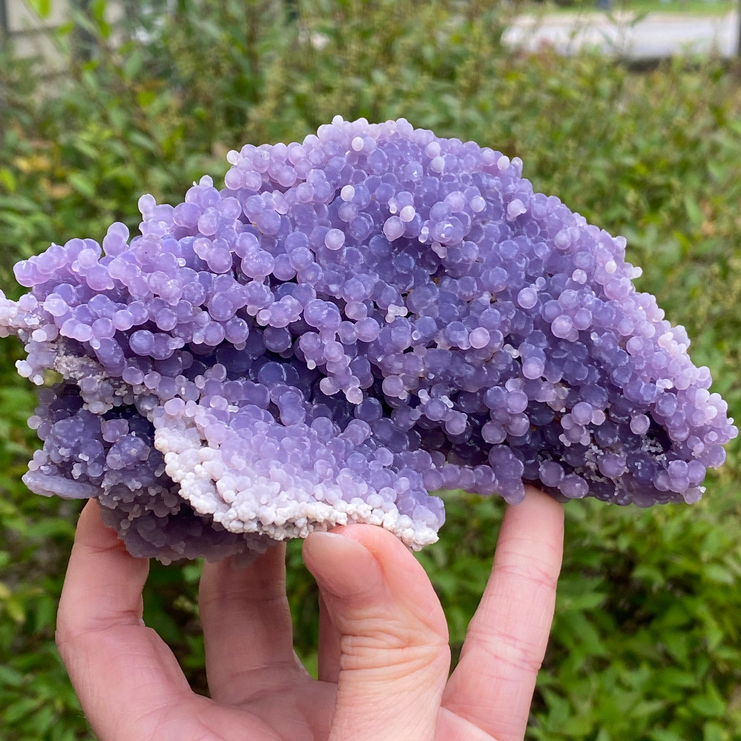 XL Grape Agate Specimen