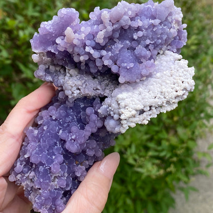 XL Grape Agate Specimen