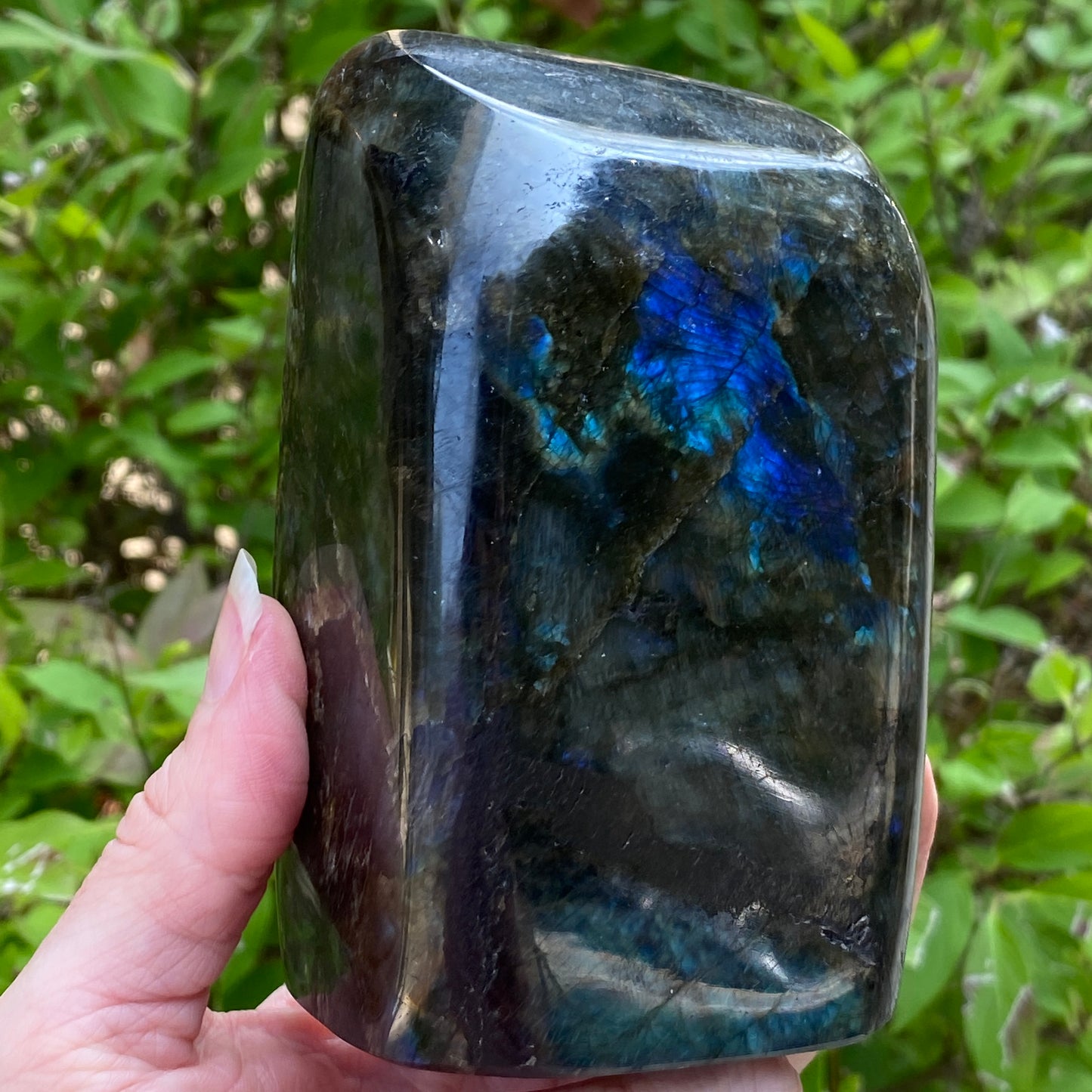 Labradorite Freeform