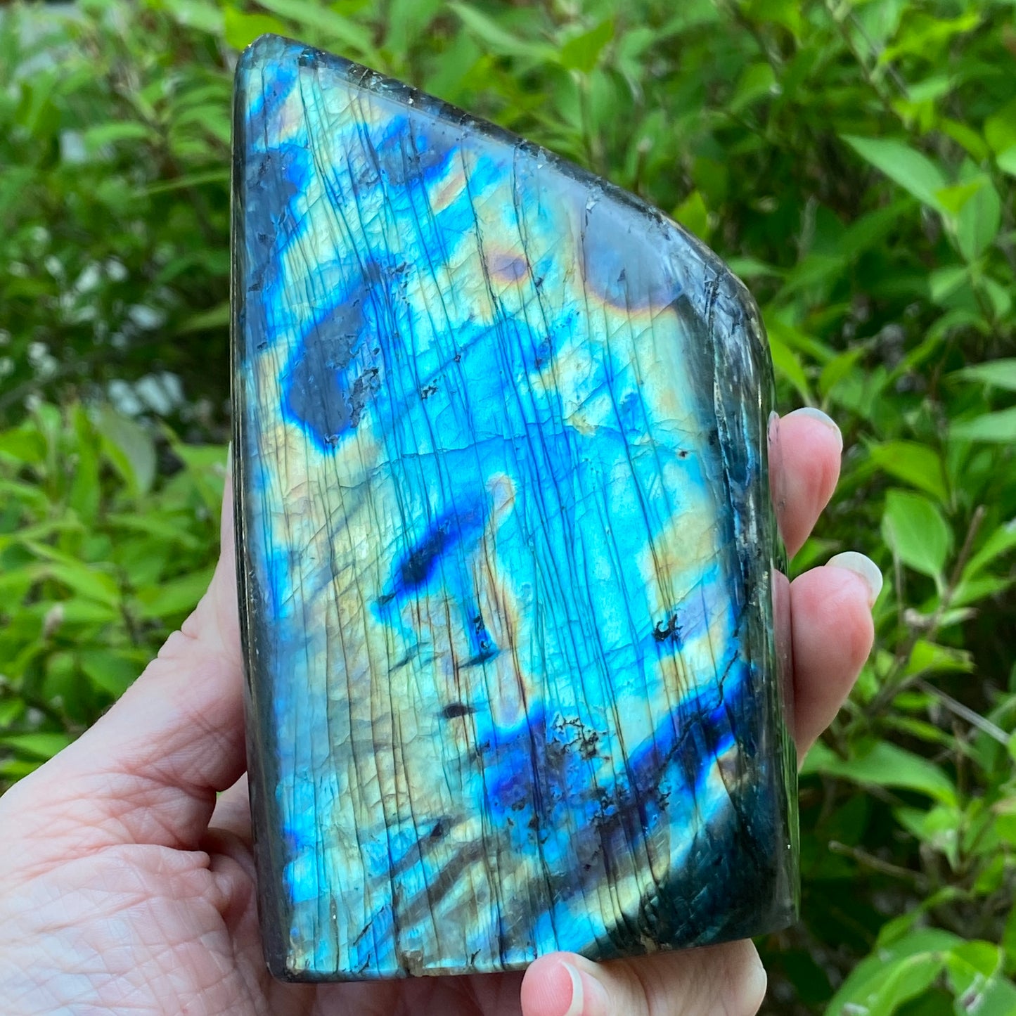 Labradorite Freeform