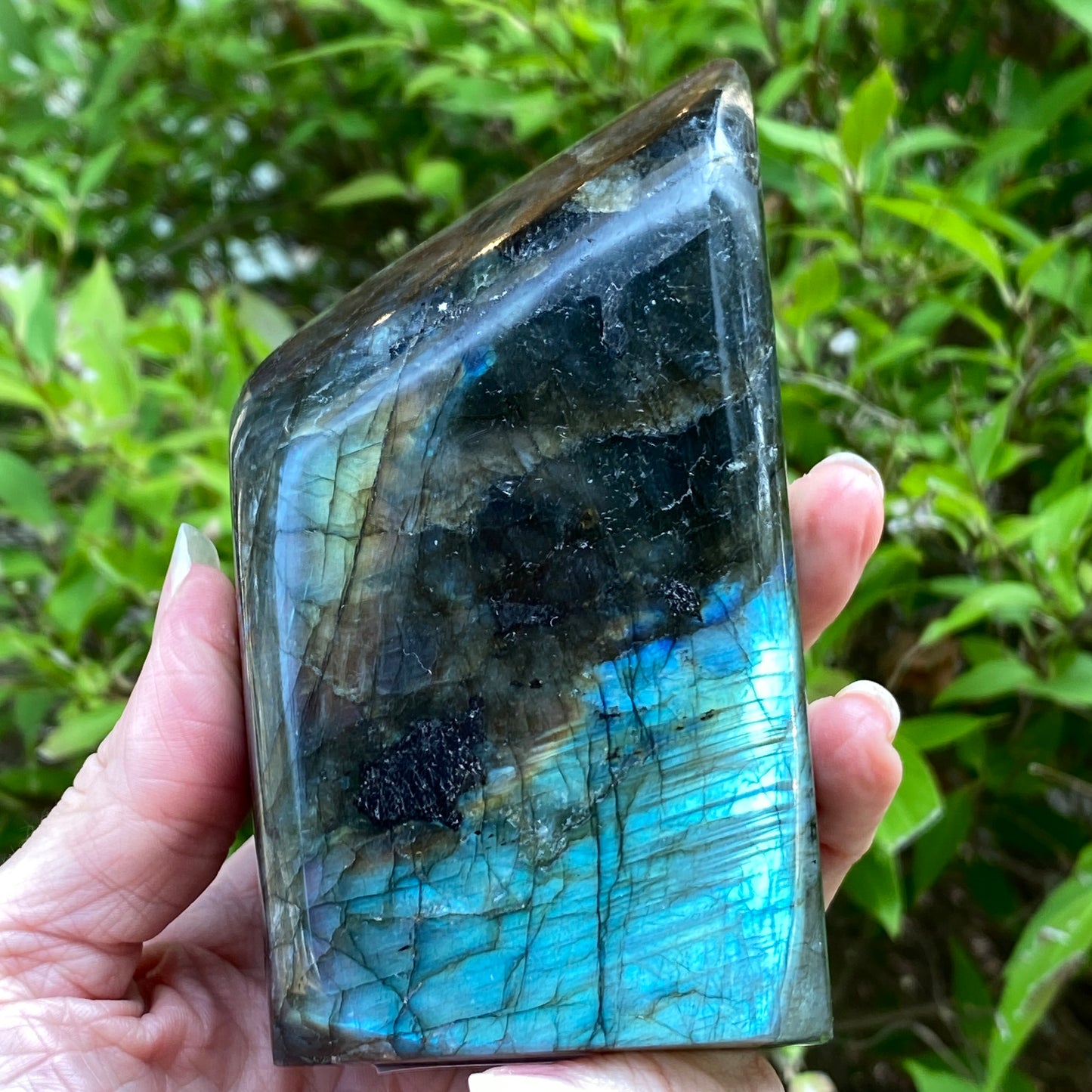 Labradorite Freeform
