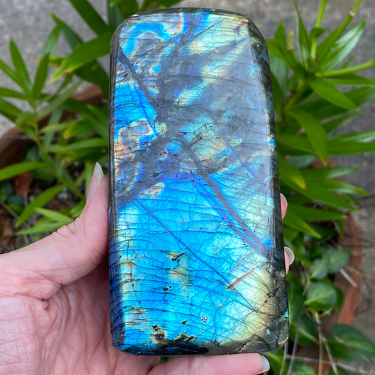 Labradorite Freeform