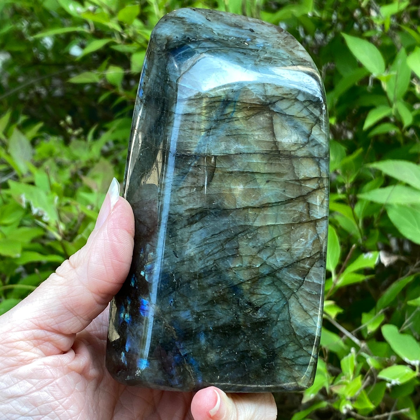 Labradorite Freeform