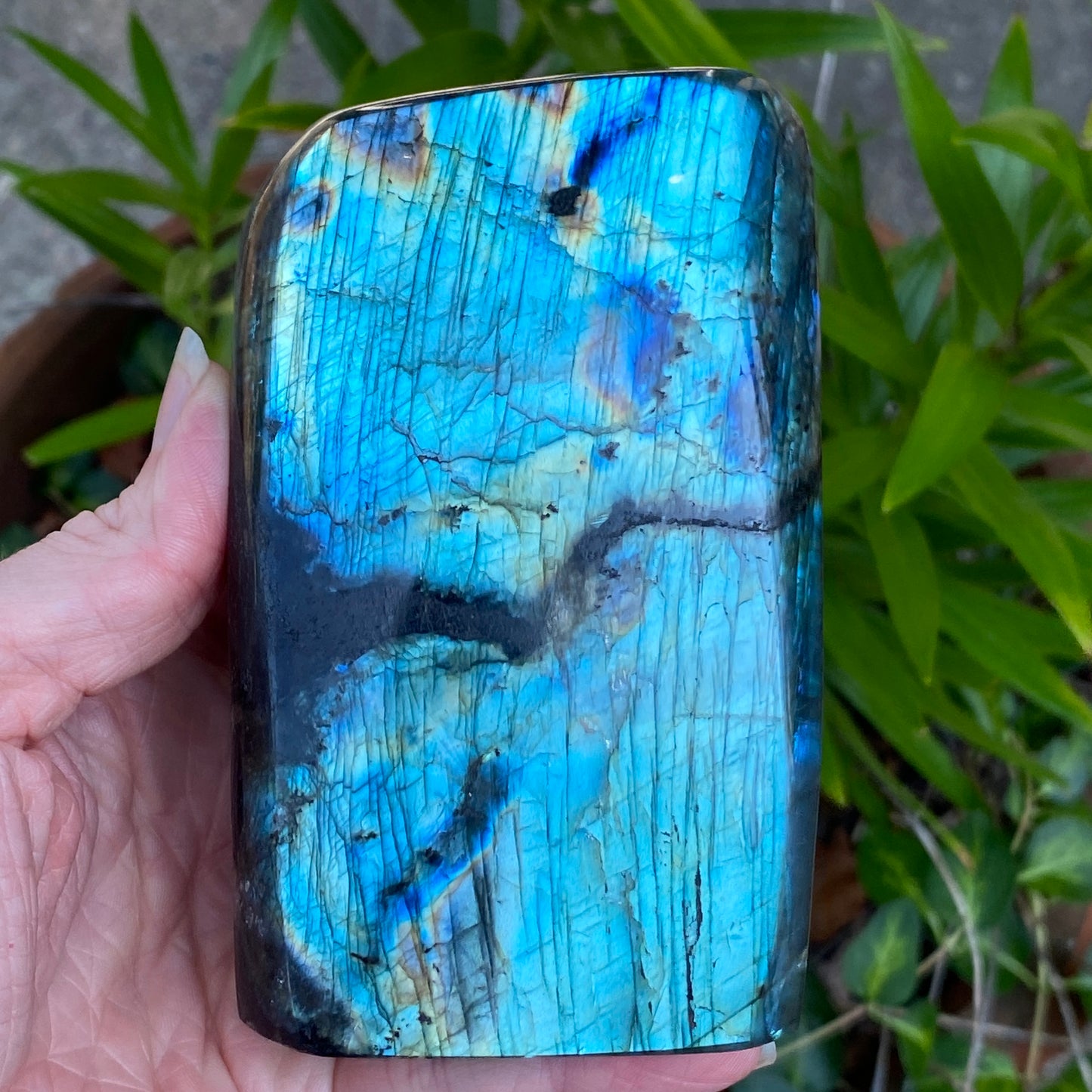 Labradorite Freeform