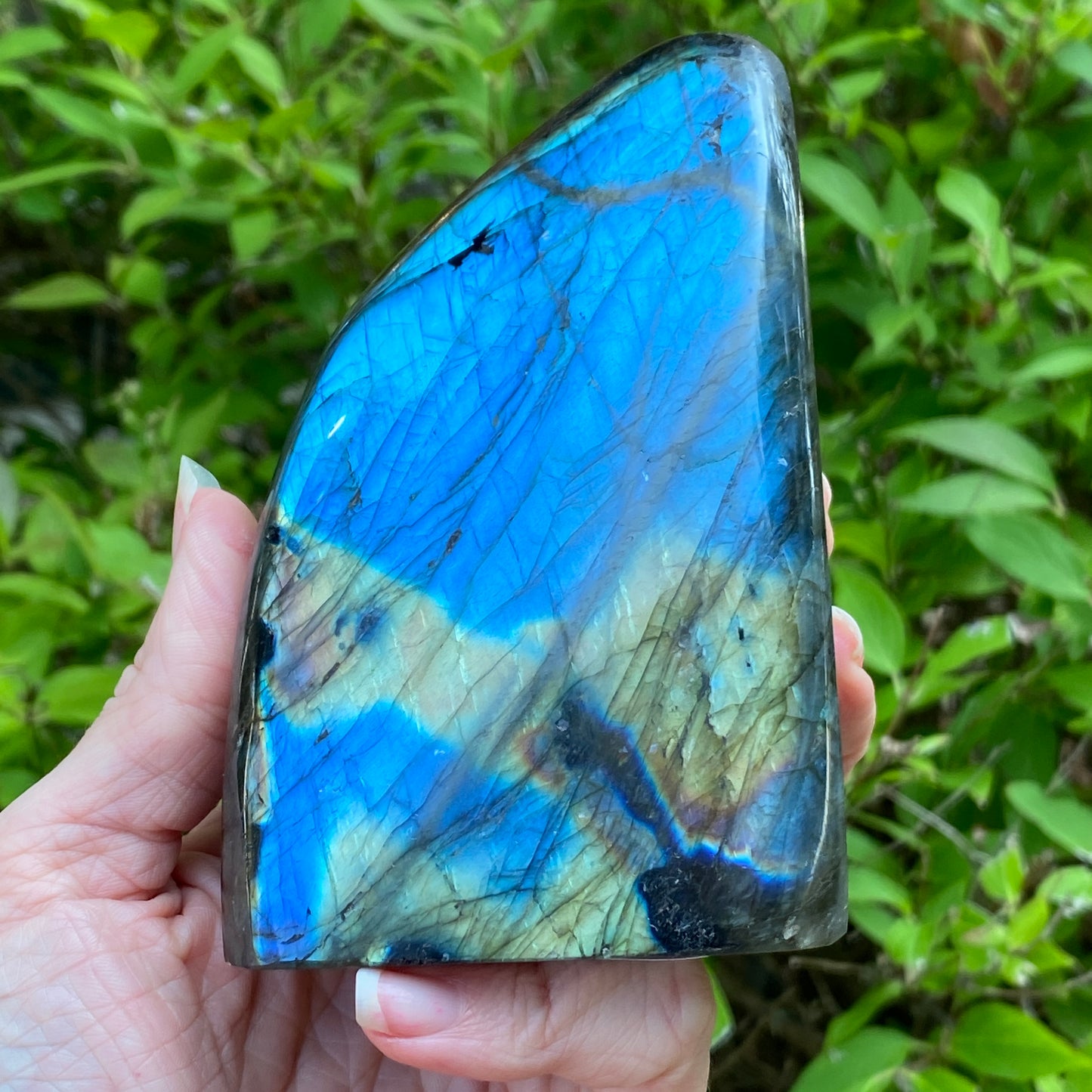 Labradorite Freeform
