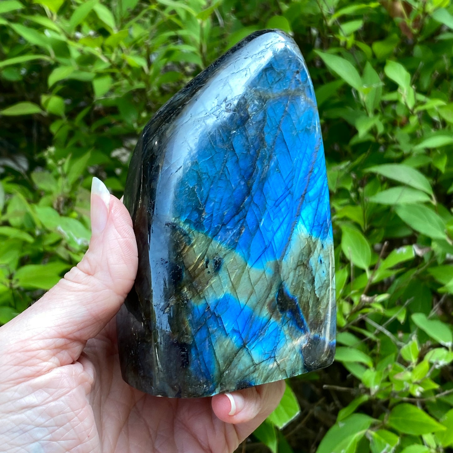Labradorite Freeform