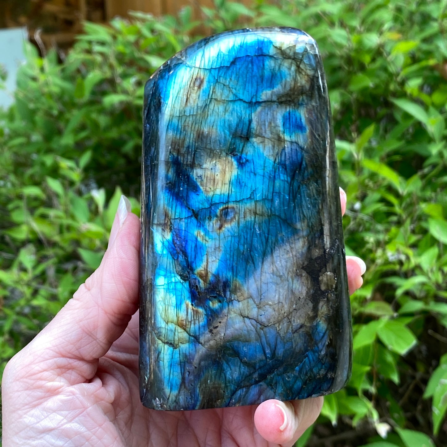 Labradorite Freeform