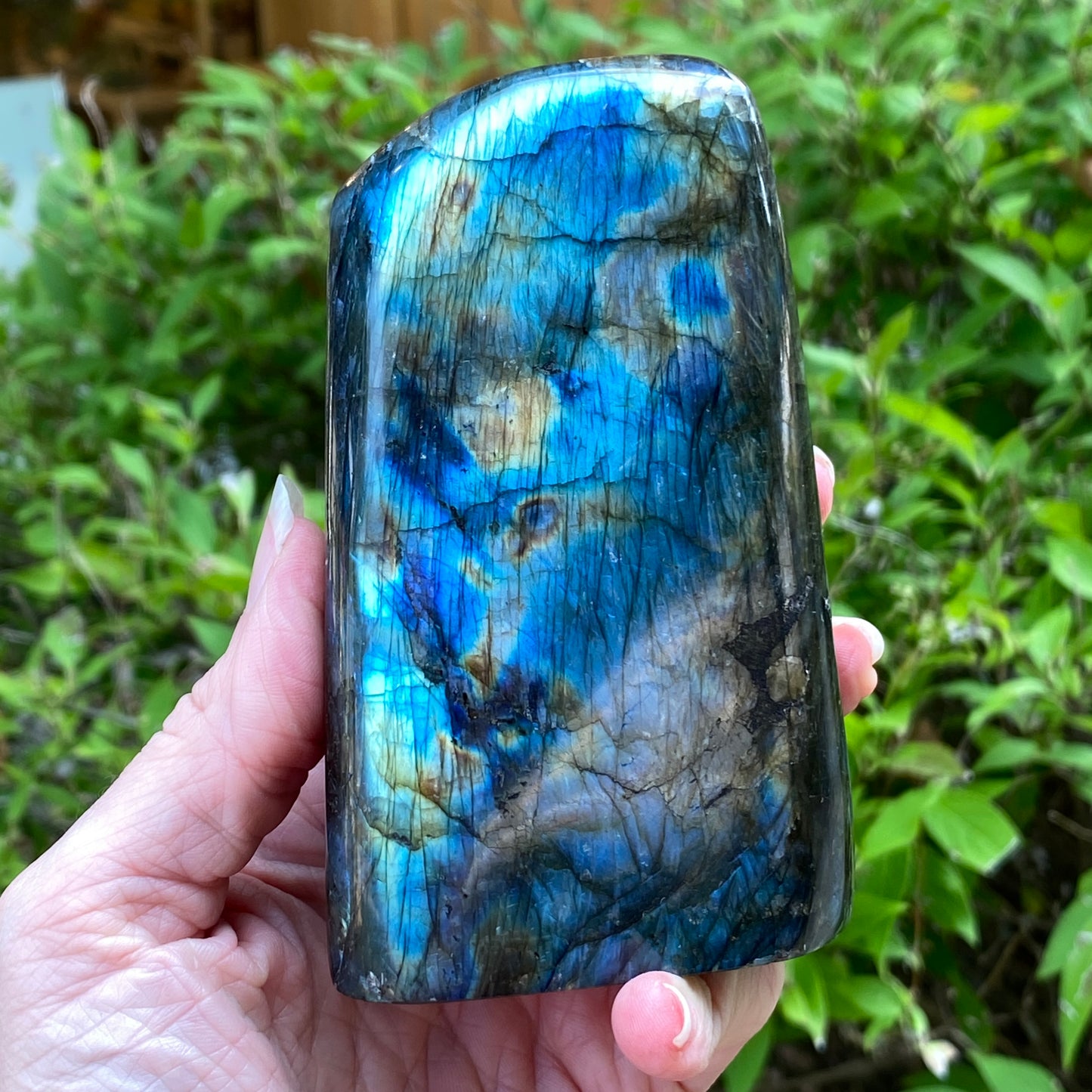 Labradorite Freeform
