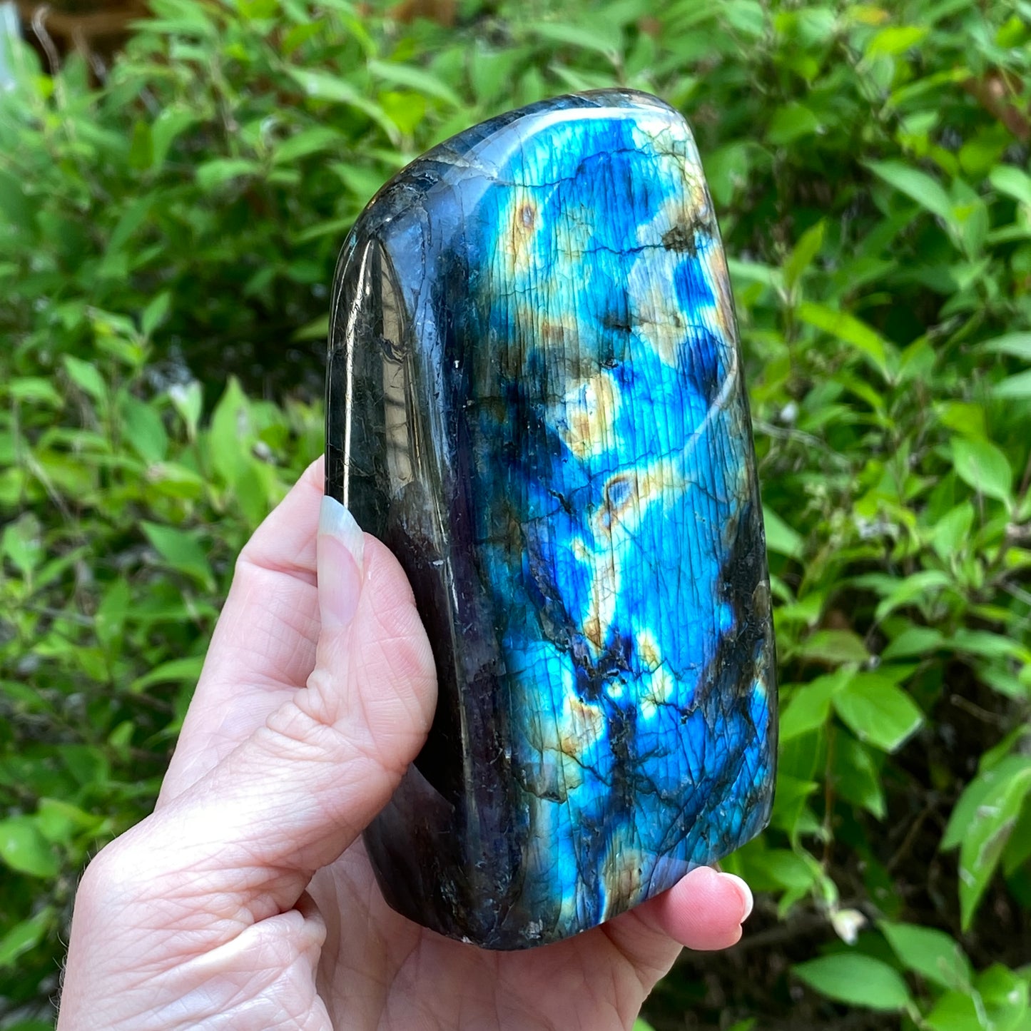 Labradorite Freeform