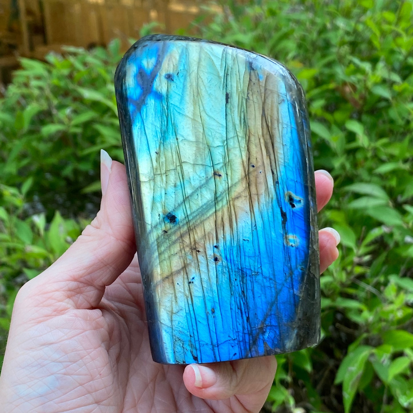 Labradorite Freeform