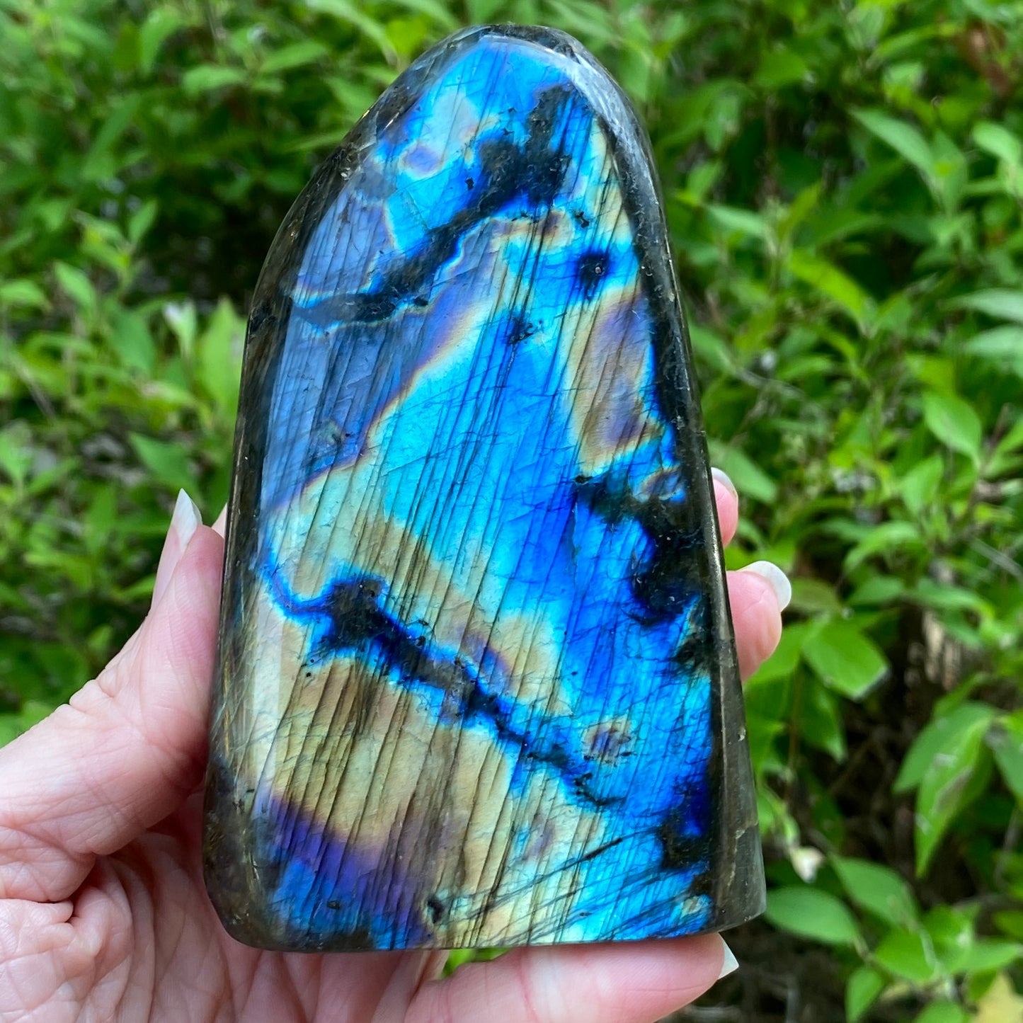 Labradorite Freeform