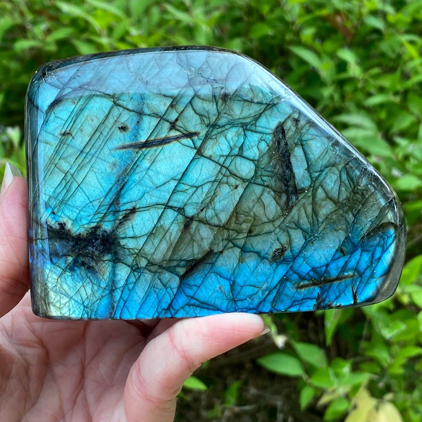 Labradorite Freeform