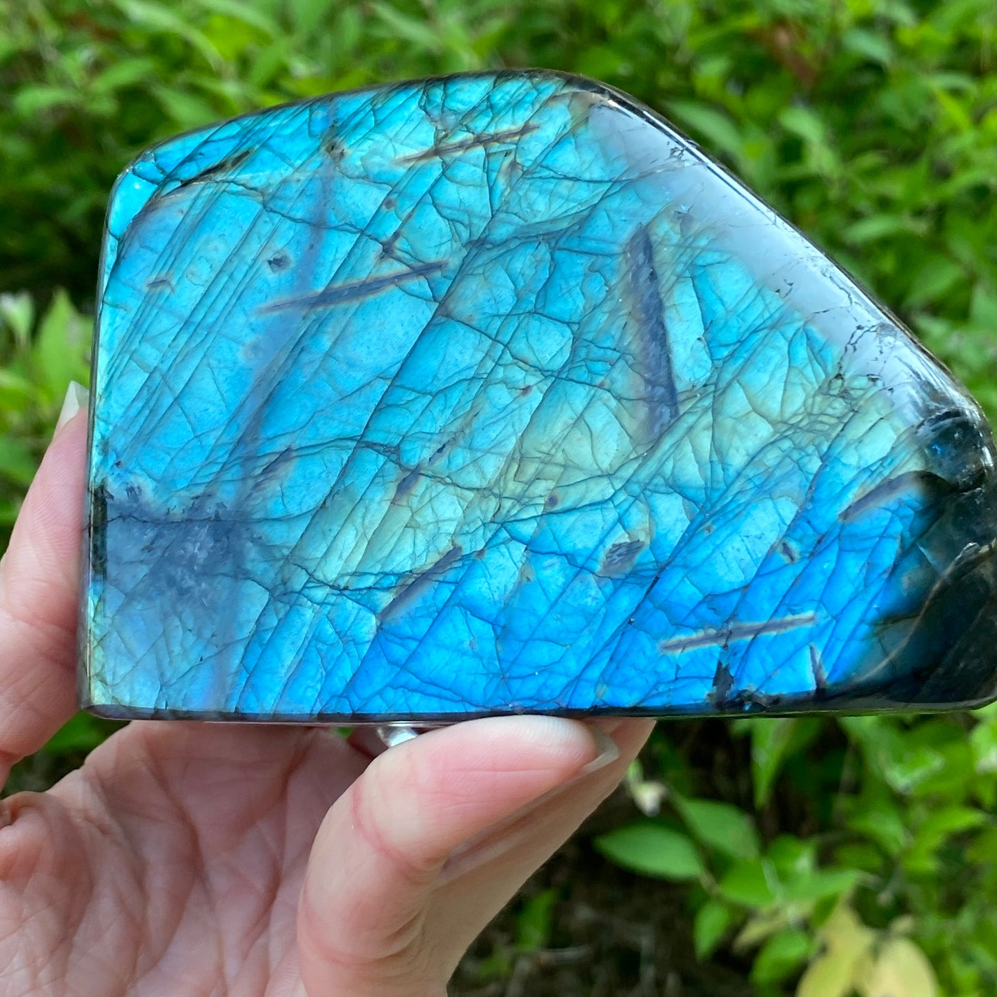 Labradorite Freeform