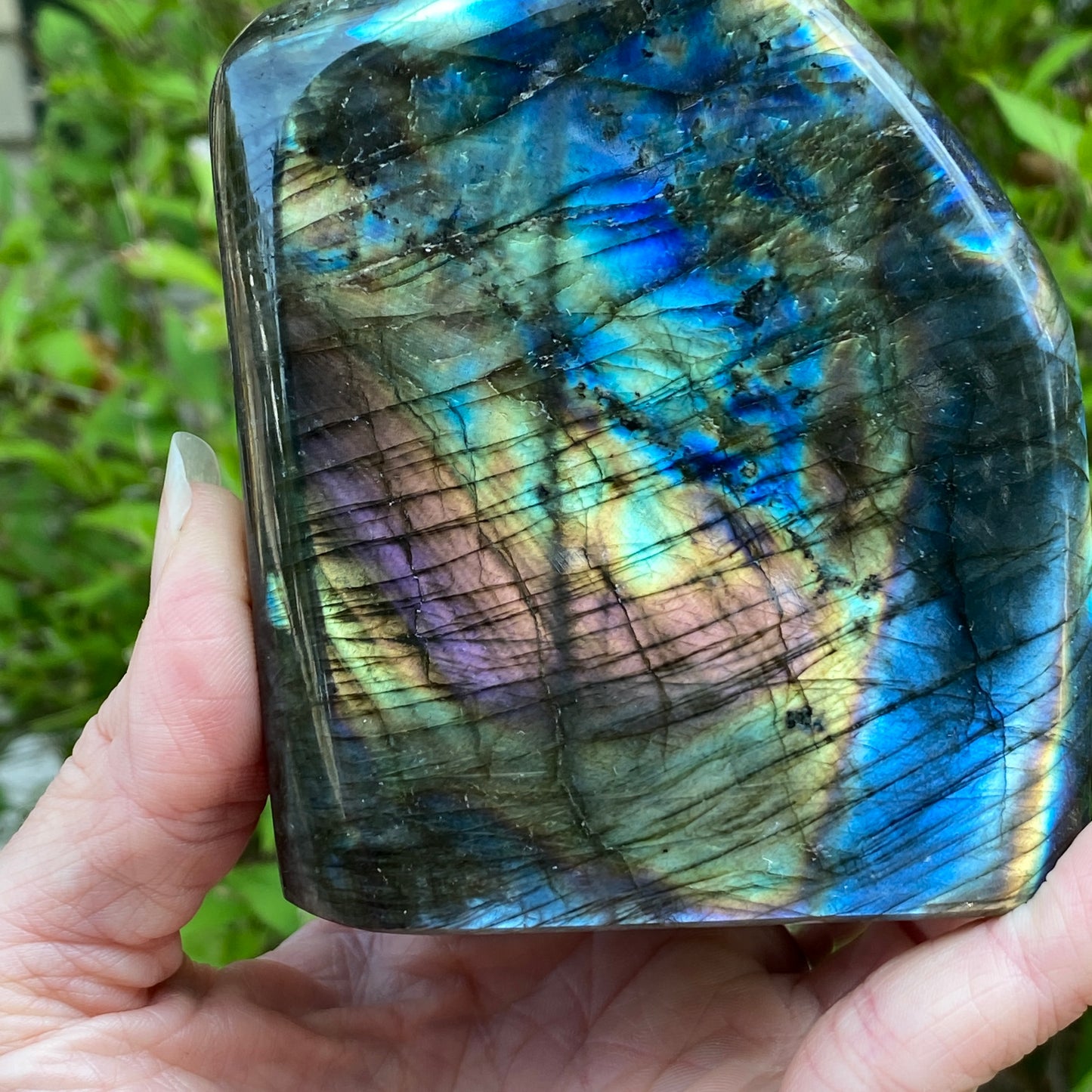 Labradorite Freeform