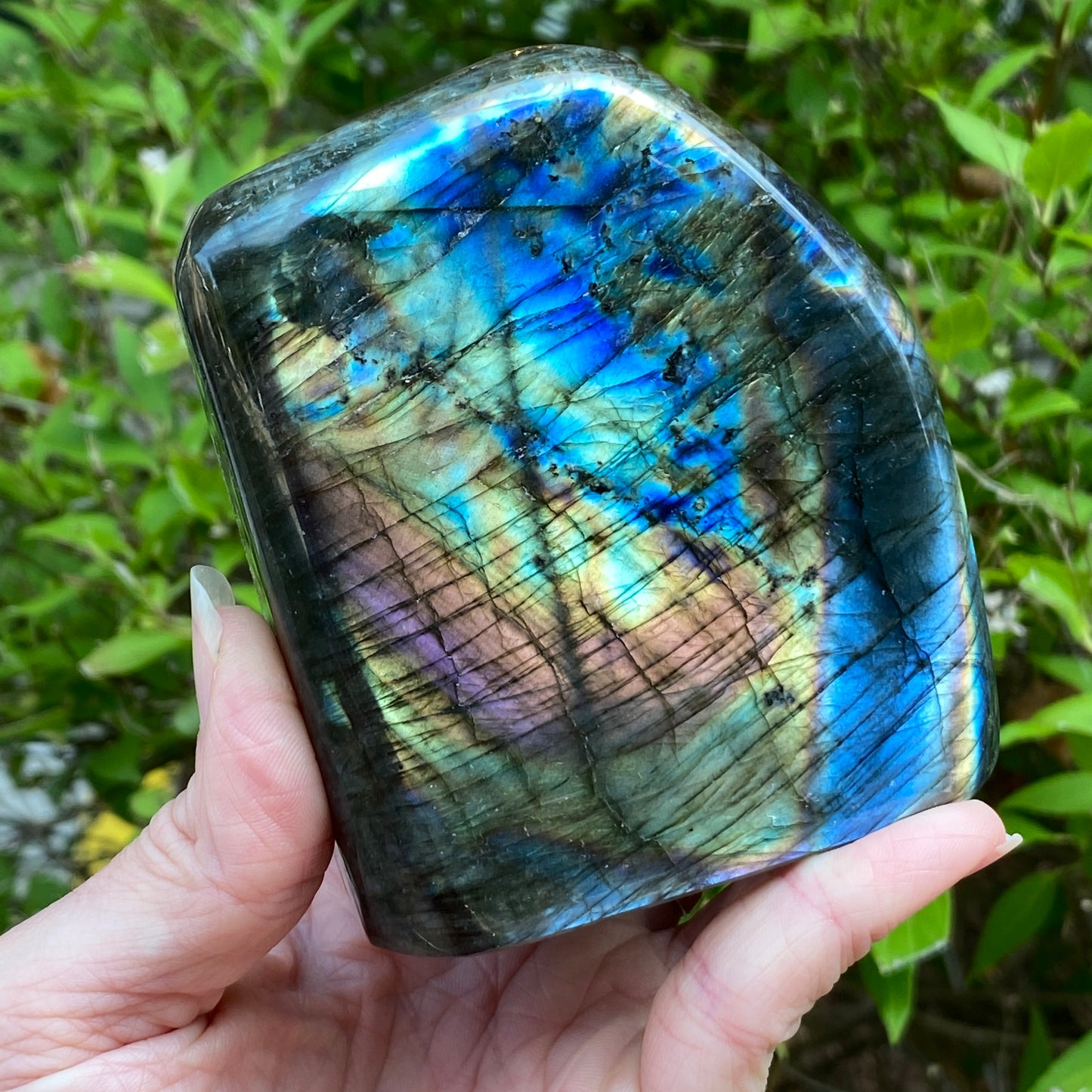 Labradorite Freeform