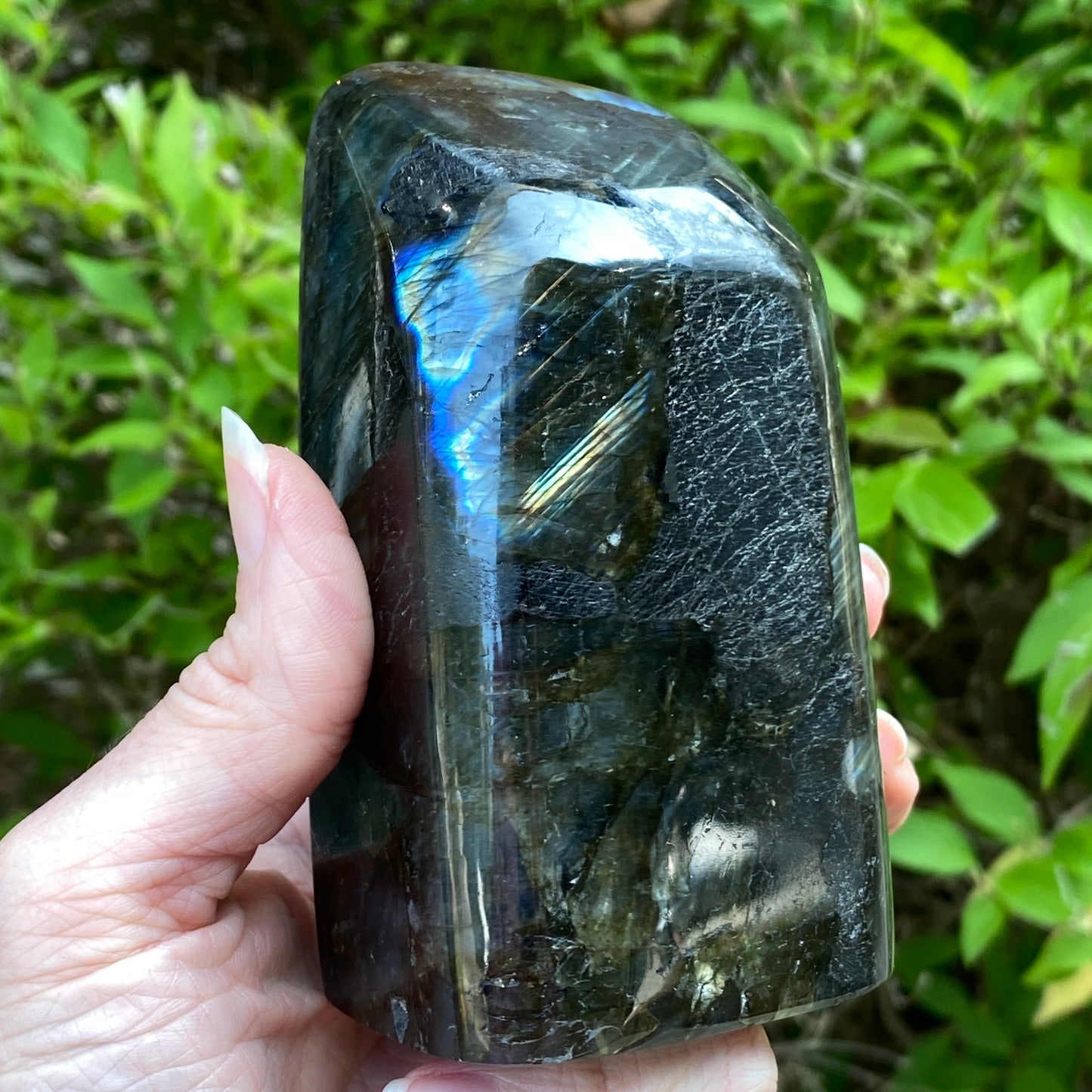 Labradorite Freeform