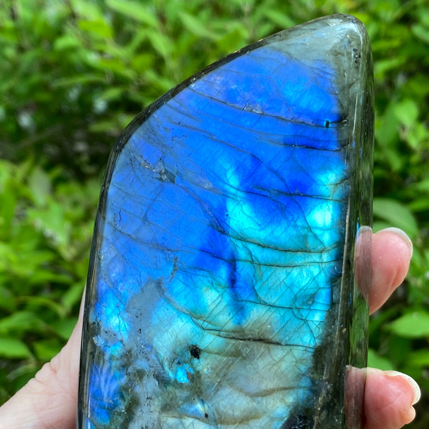 Labradorite Freeform