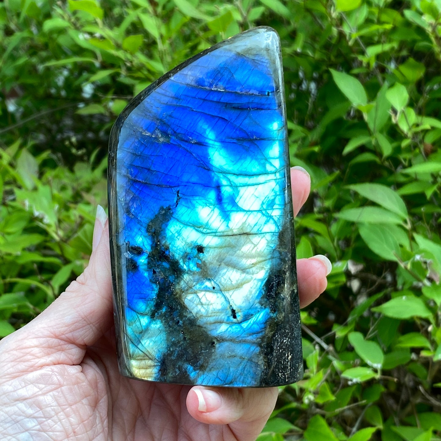 Labradorite Freeform