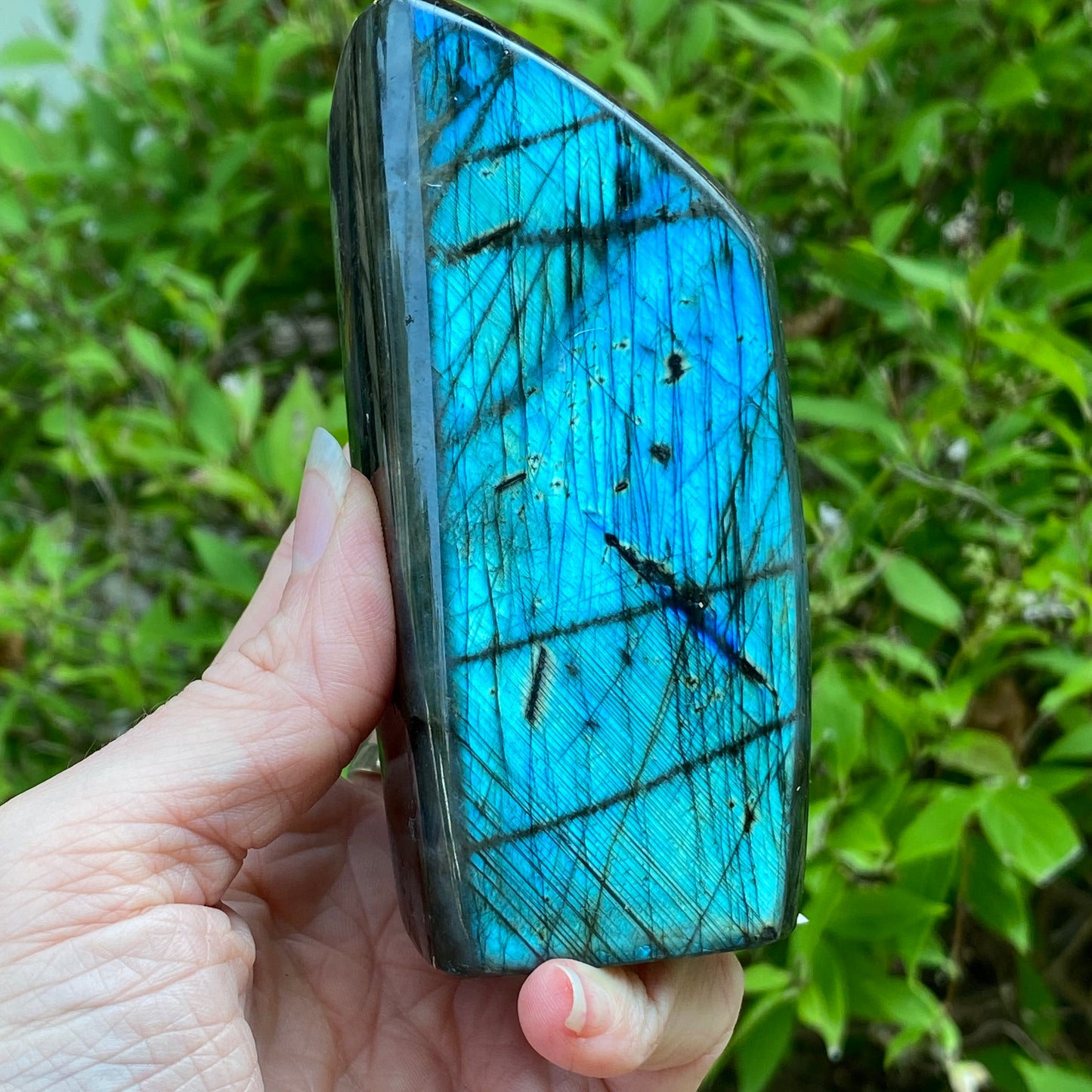 Labradorite Freeform