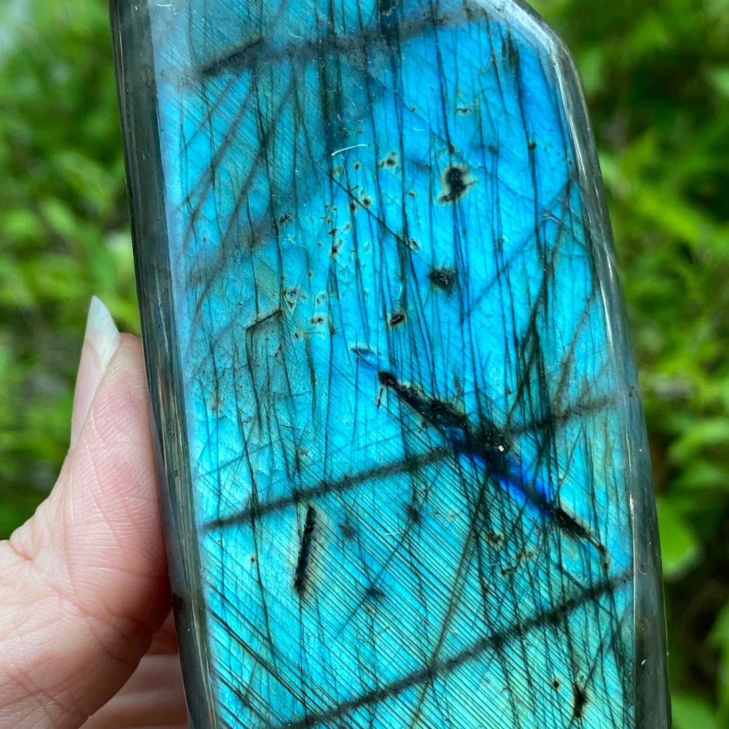 Labradorite Freeform