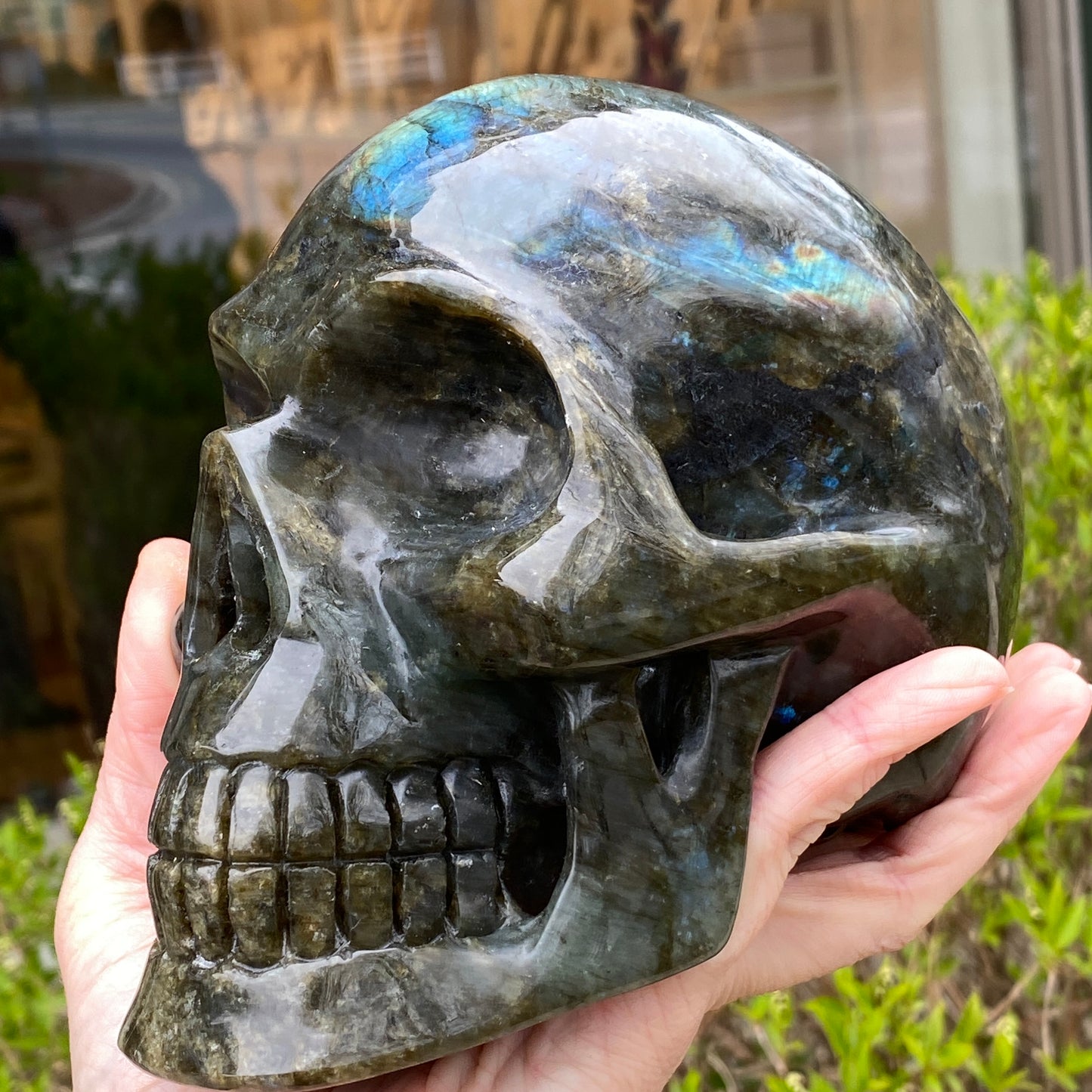 Large Labradorite Skull, Hand-Carved, 6in