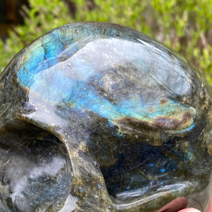 Large Labradorite Skull, Hand-Carved, 6in