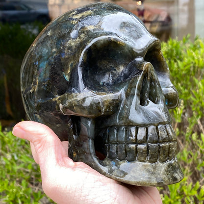 Large Labradorite Skull, Hand-Carved, 6in