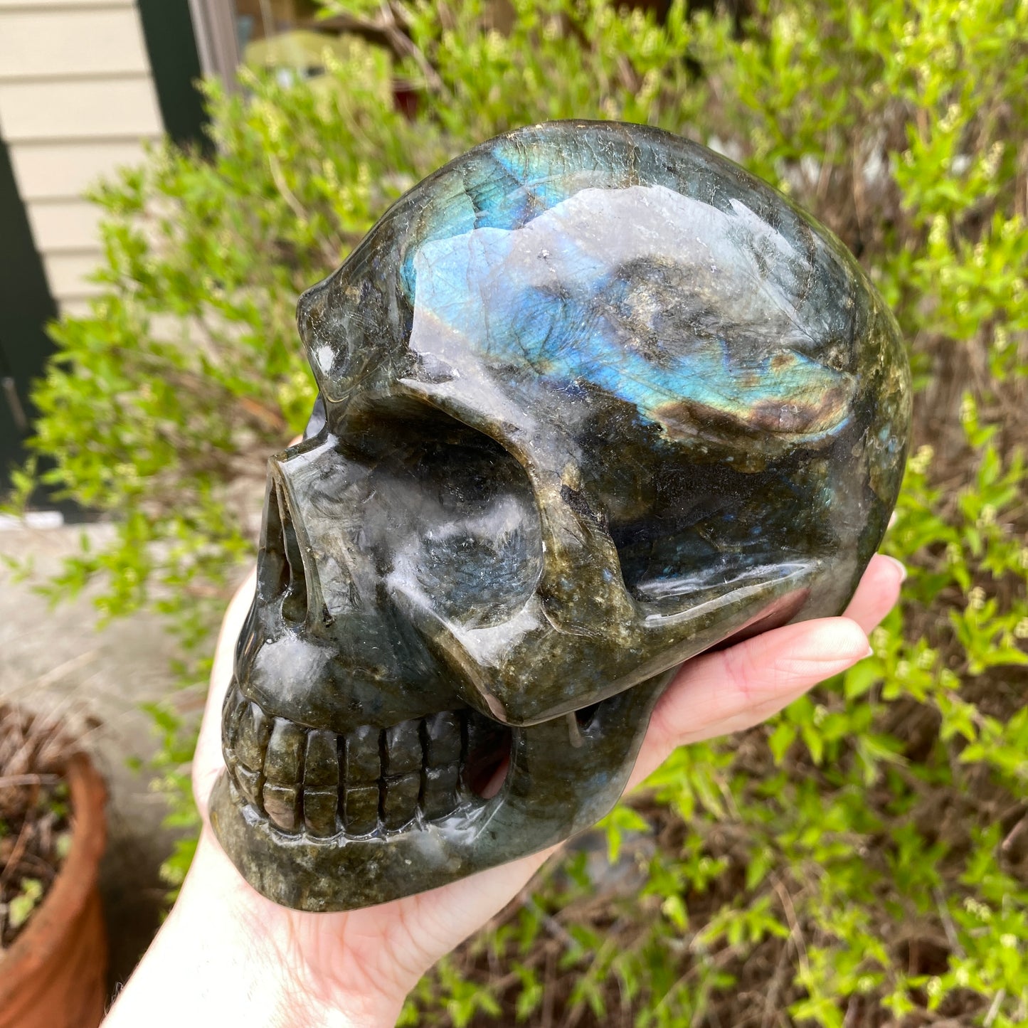 Large Labradorite Skull, Hand-Carved, 6in