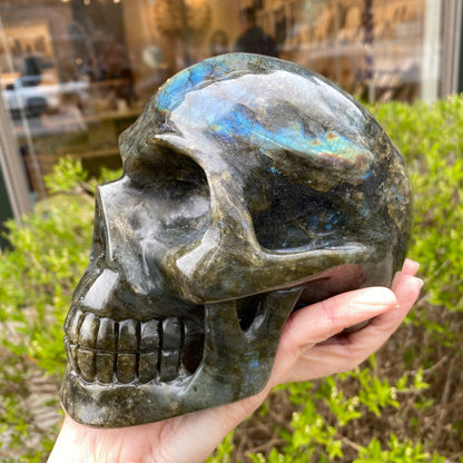 Large Labradorite Skull, Hand-Carved, 6in