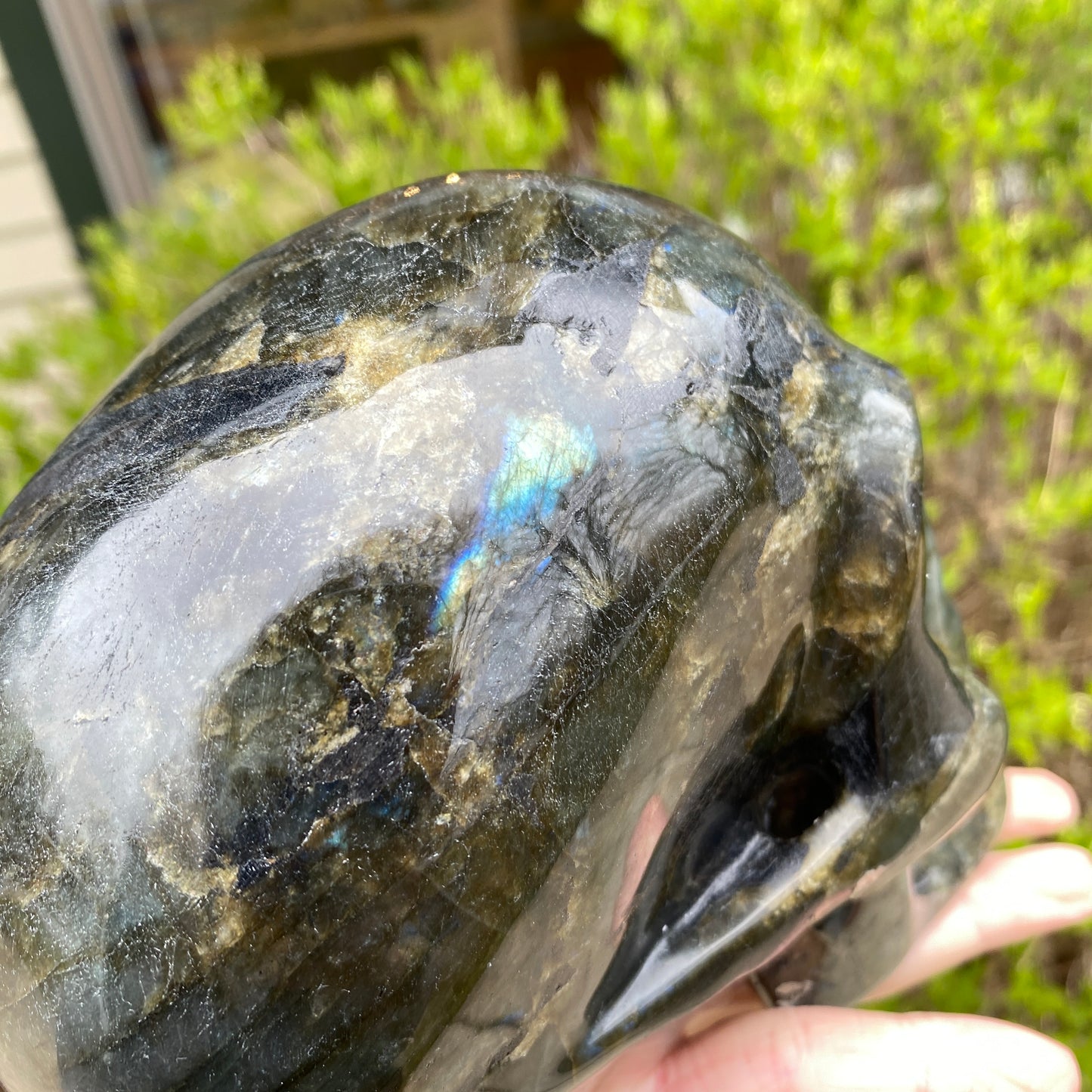 Large Labradorite Skull, Hand-Carved, 6in