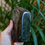 Labradorite Freeform