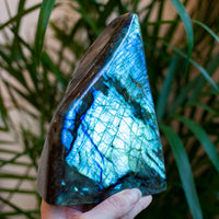 Labradorite Freeform, 4lb 2oz