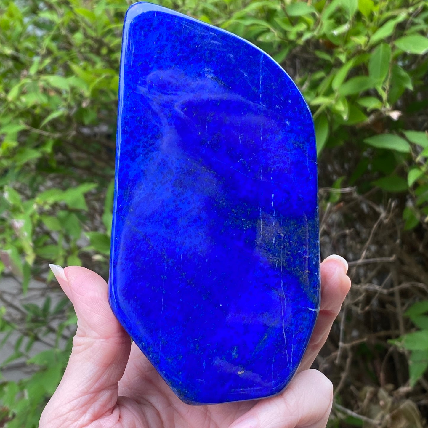 Lapis Lazuli Freeform