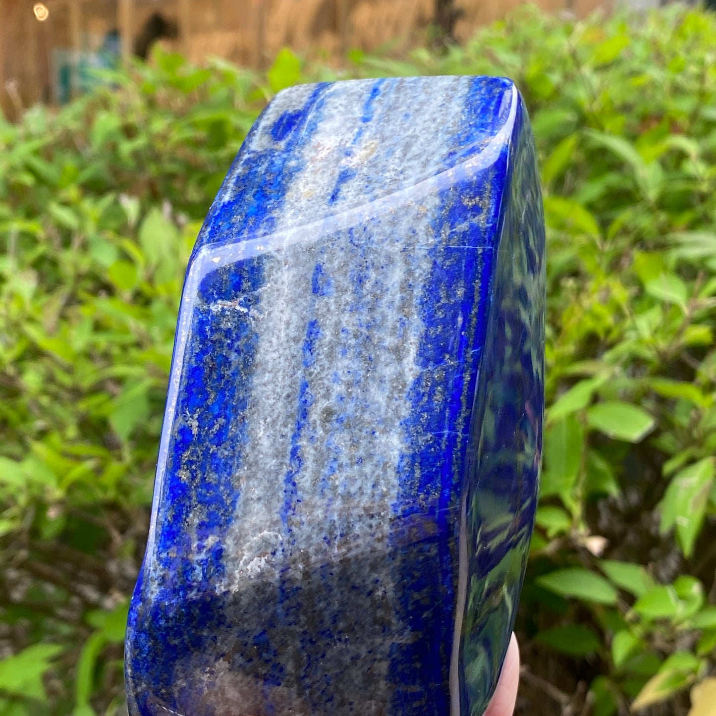 Lapis Lazuli Freeform