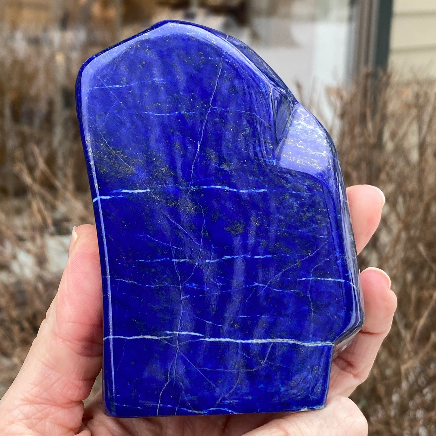 Lapis Lazuli Freeform