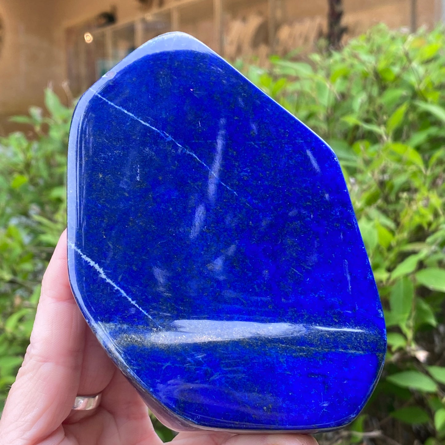 Lapis Lazuli Freeform